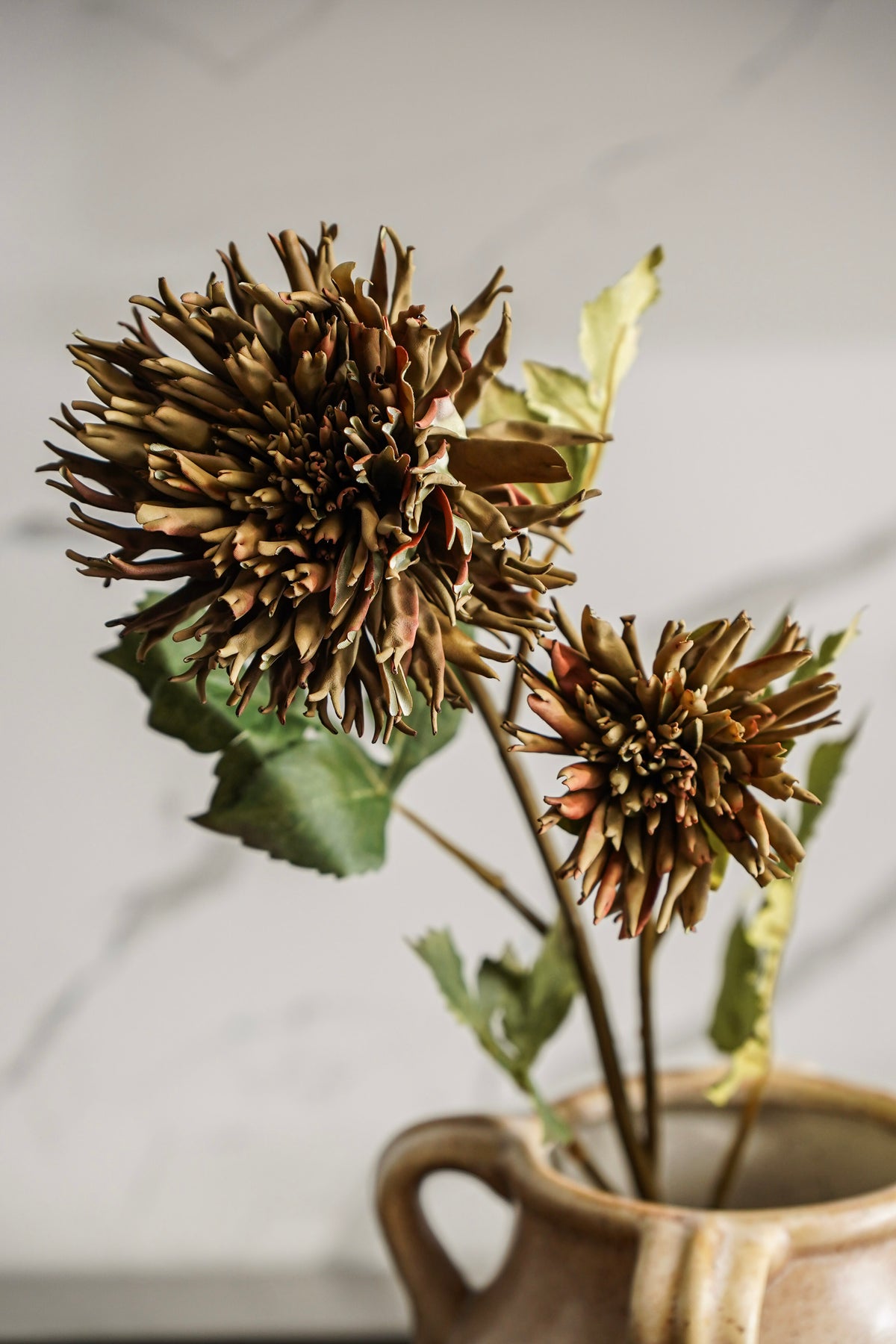 Olive Green Spider Dahlia Stem