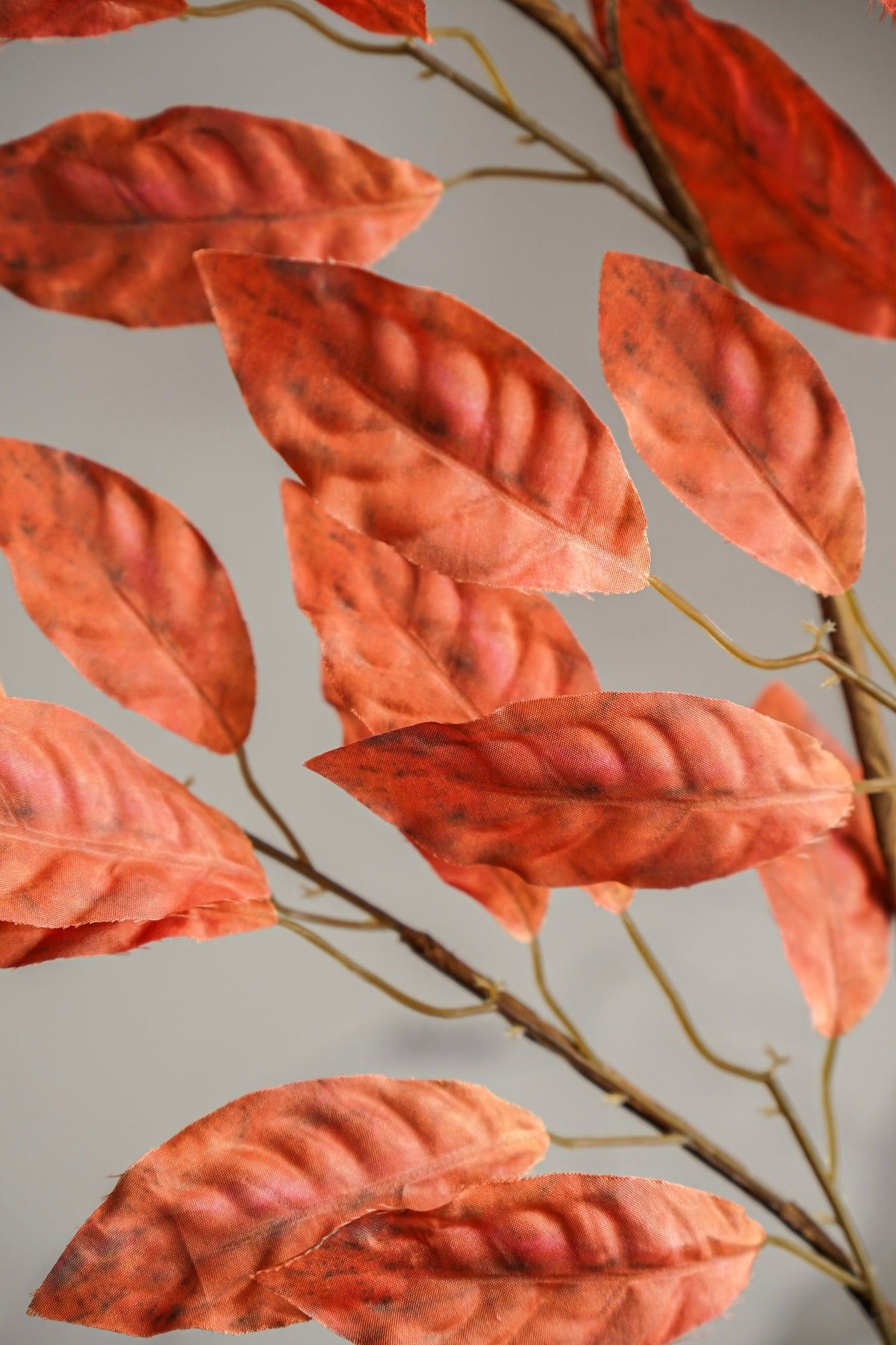 Autumn Rust Leaf Stem