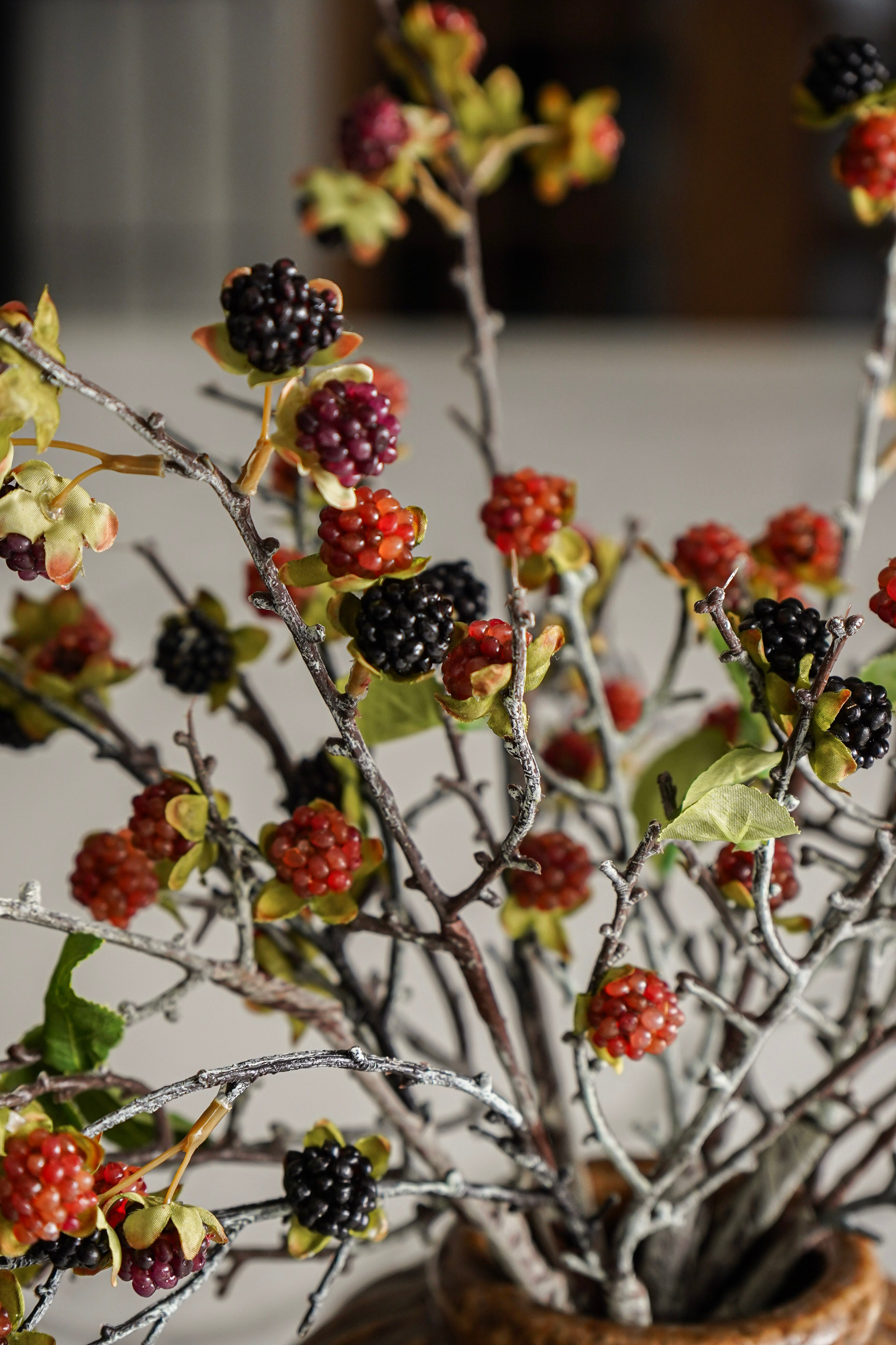 Wild Blackberry Branch