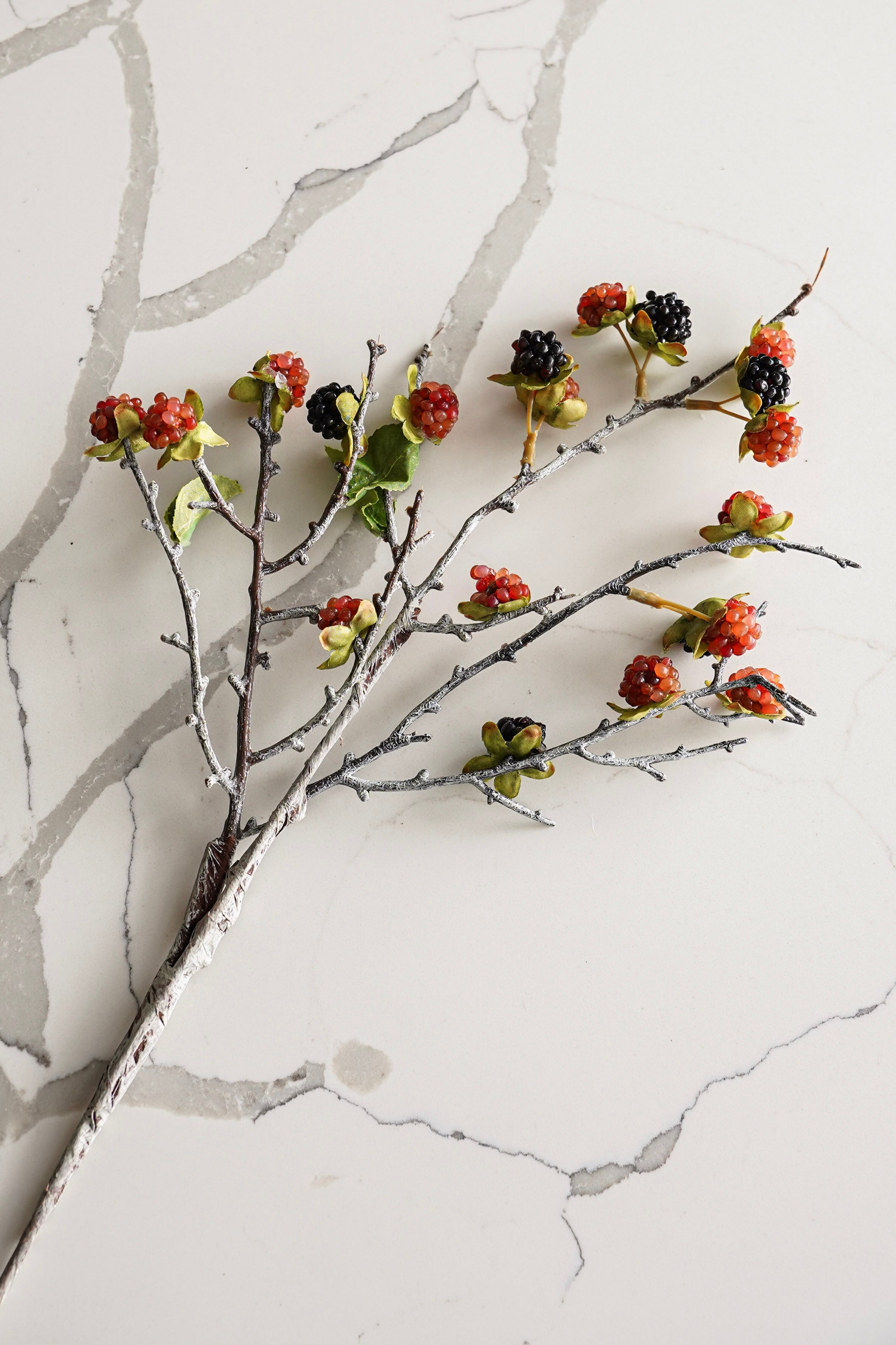 Wild Blackberry Branch
