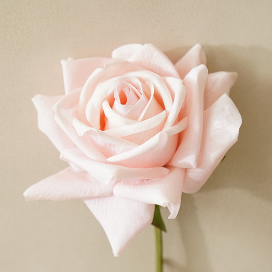 Real Touch Duchess Rose Stem | Pink