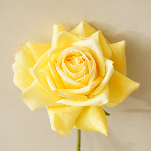 Real Touch Duchess Rose Stem | Yellow