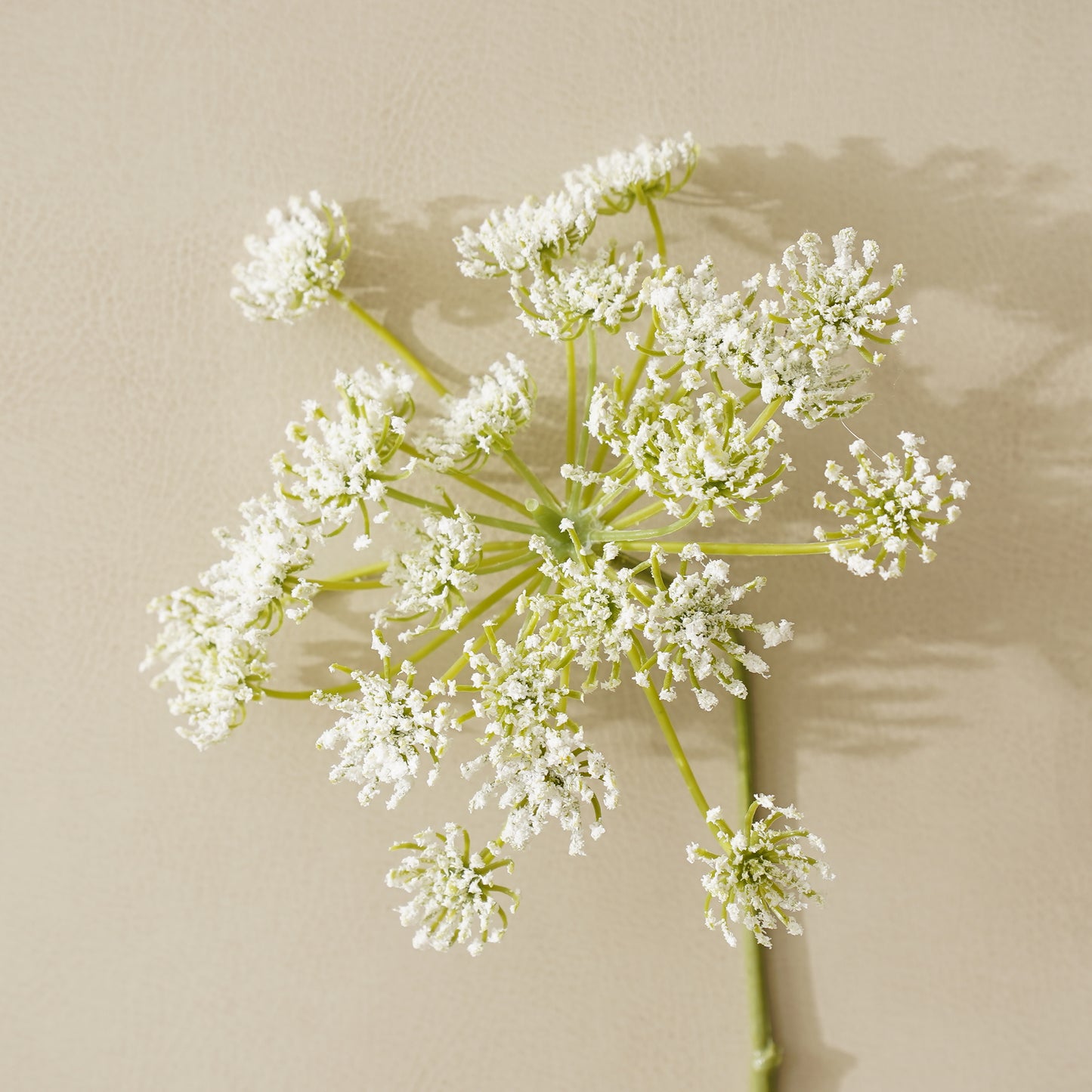 White Gypso Stem