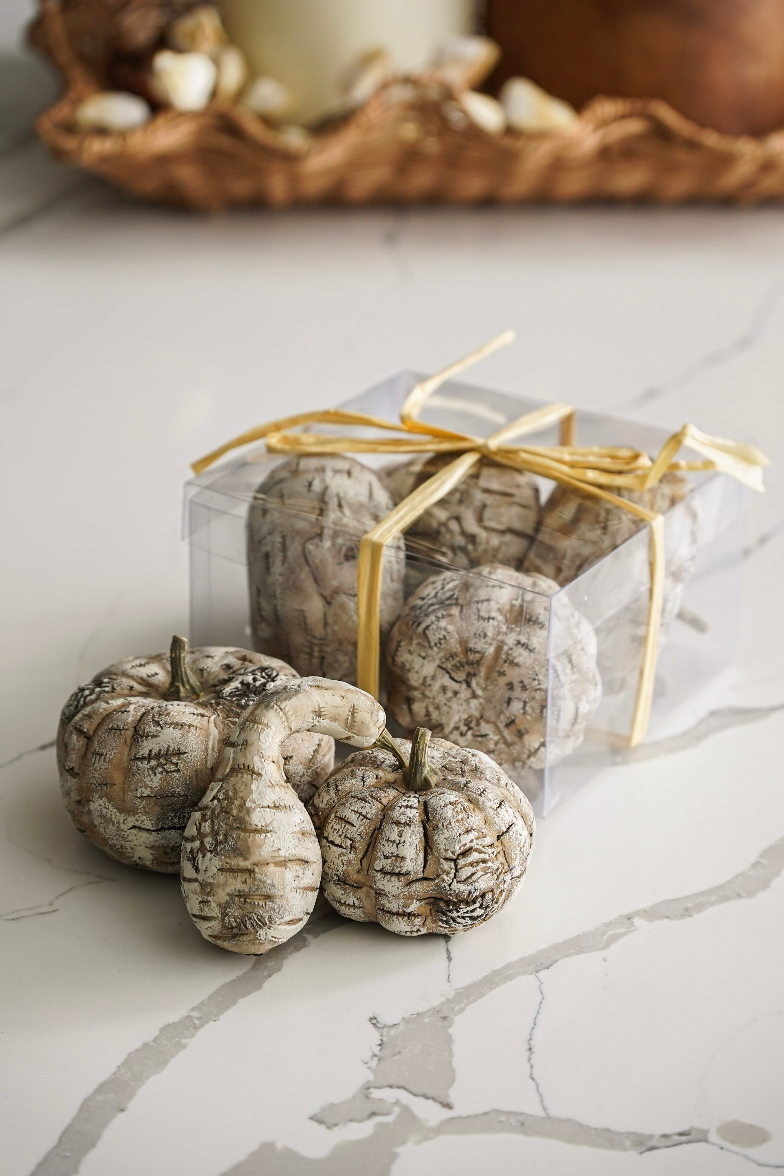 White Birch Pumpkin Set
