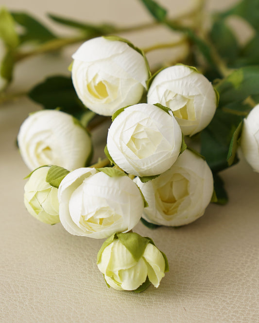 Mini Ranunculus Spray | White