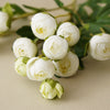 Mini Ranunculus Spray | White