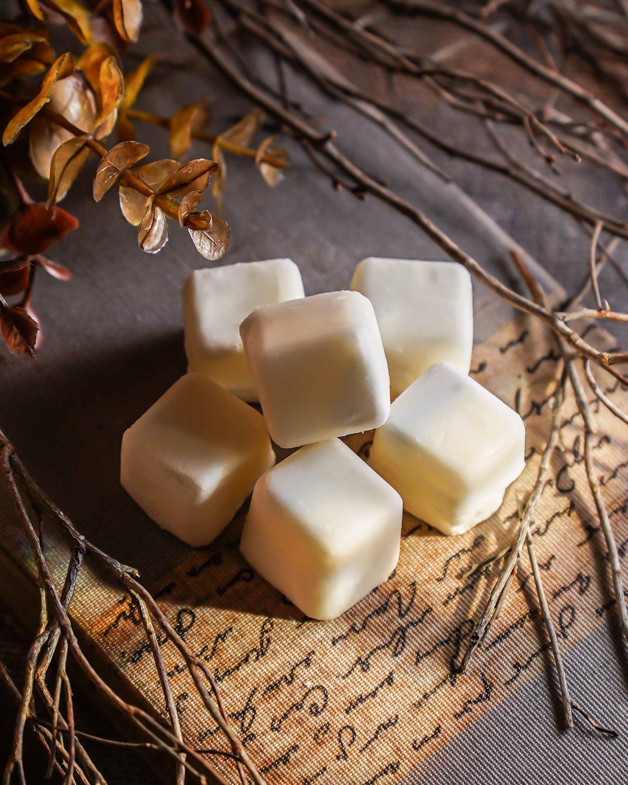 Maine Woods | Wax Melt