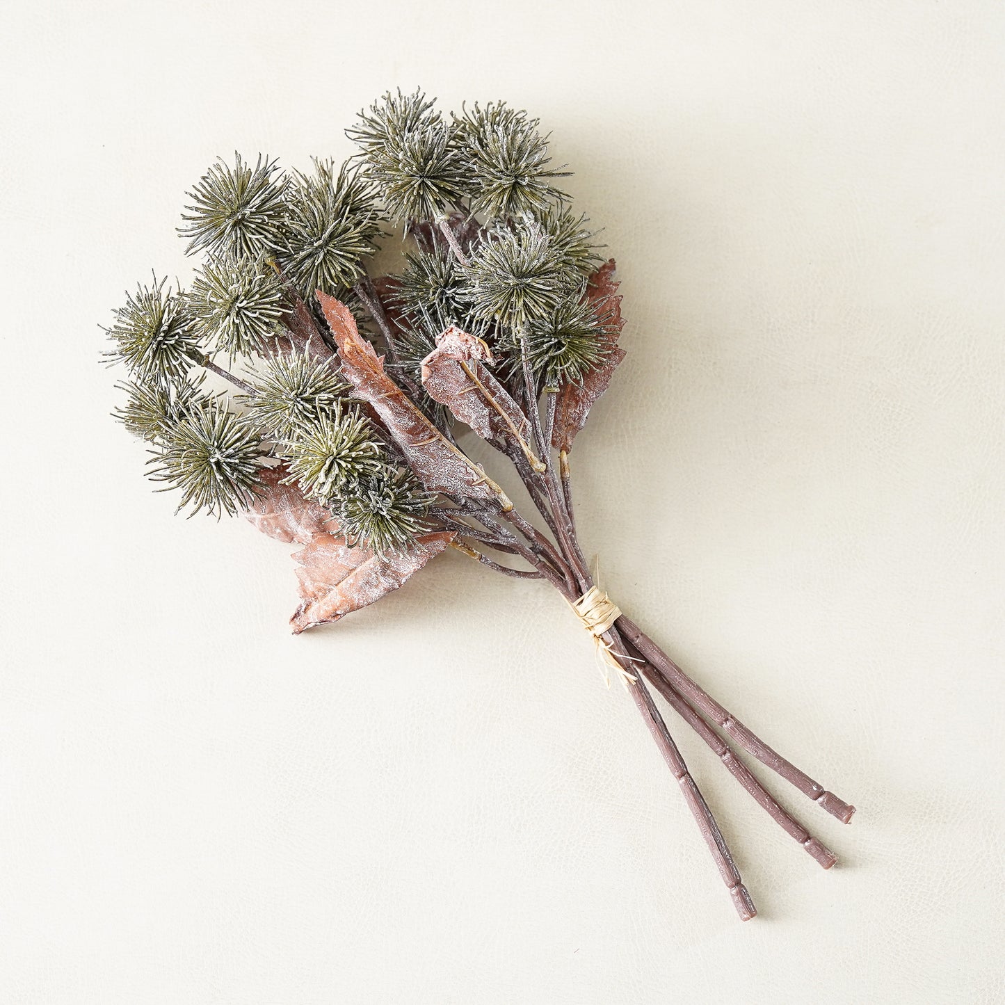 Harvest Sycamore Bundle | 3 Stems