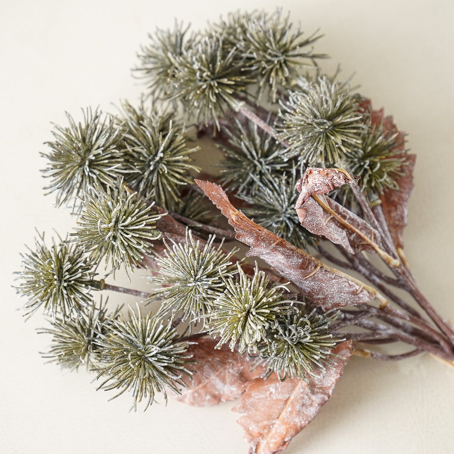 Harvest Sycamore Bundle | 3 Stems