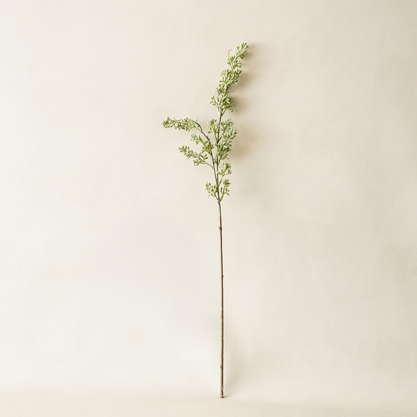 Powdered Green Eucalyptus Berry Stem