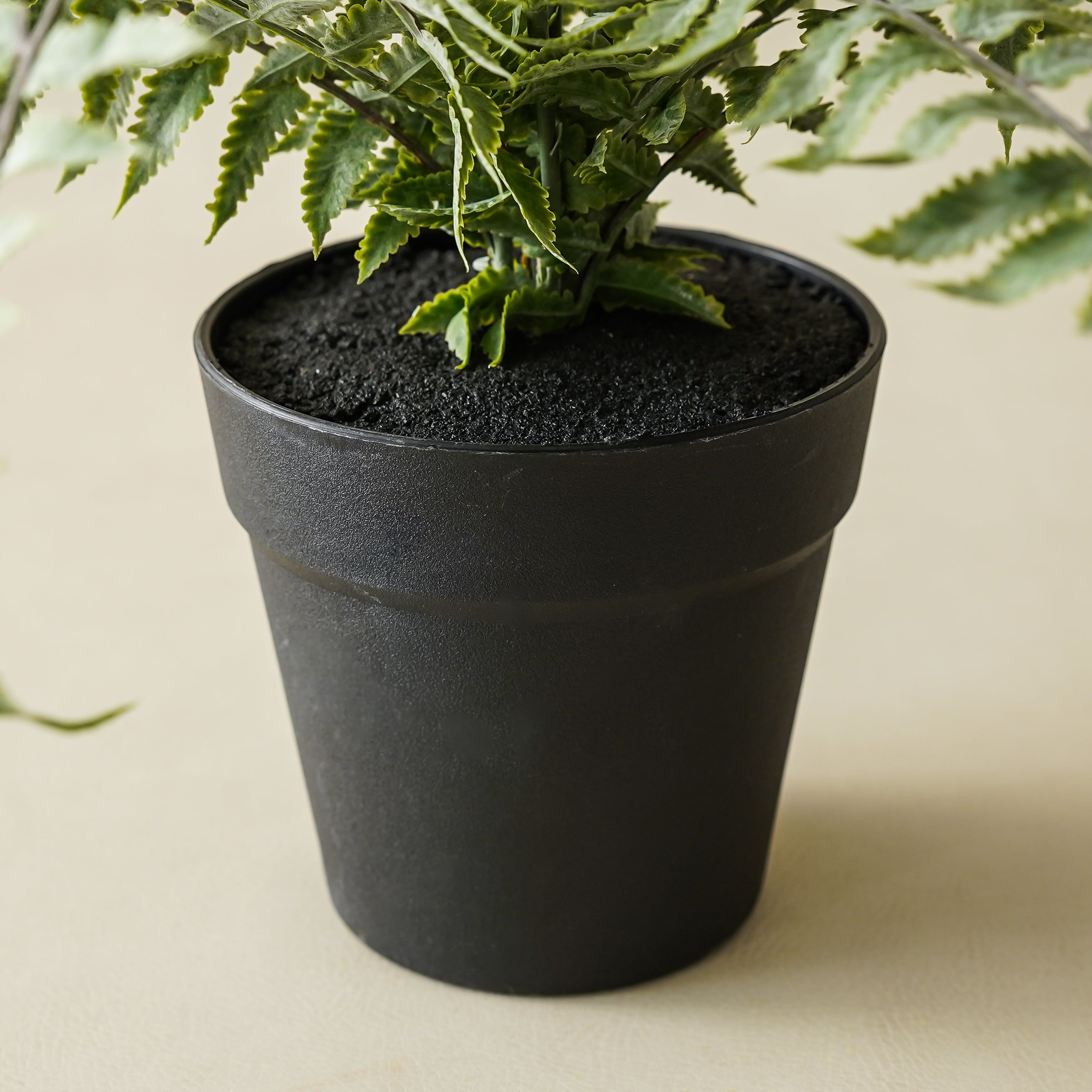 Lilliann Potted Fern
