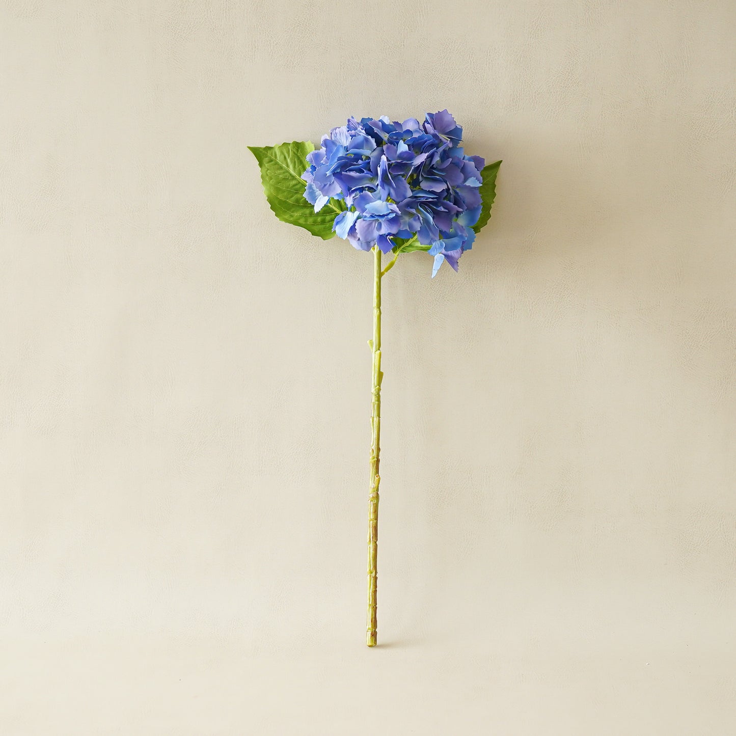 Tiffany Hydrangea | Blue