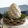 Winter Decorative Pinecone Accent