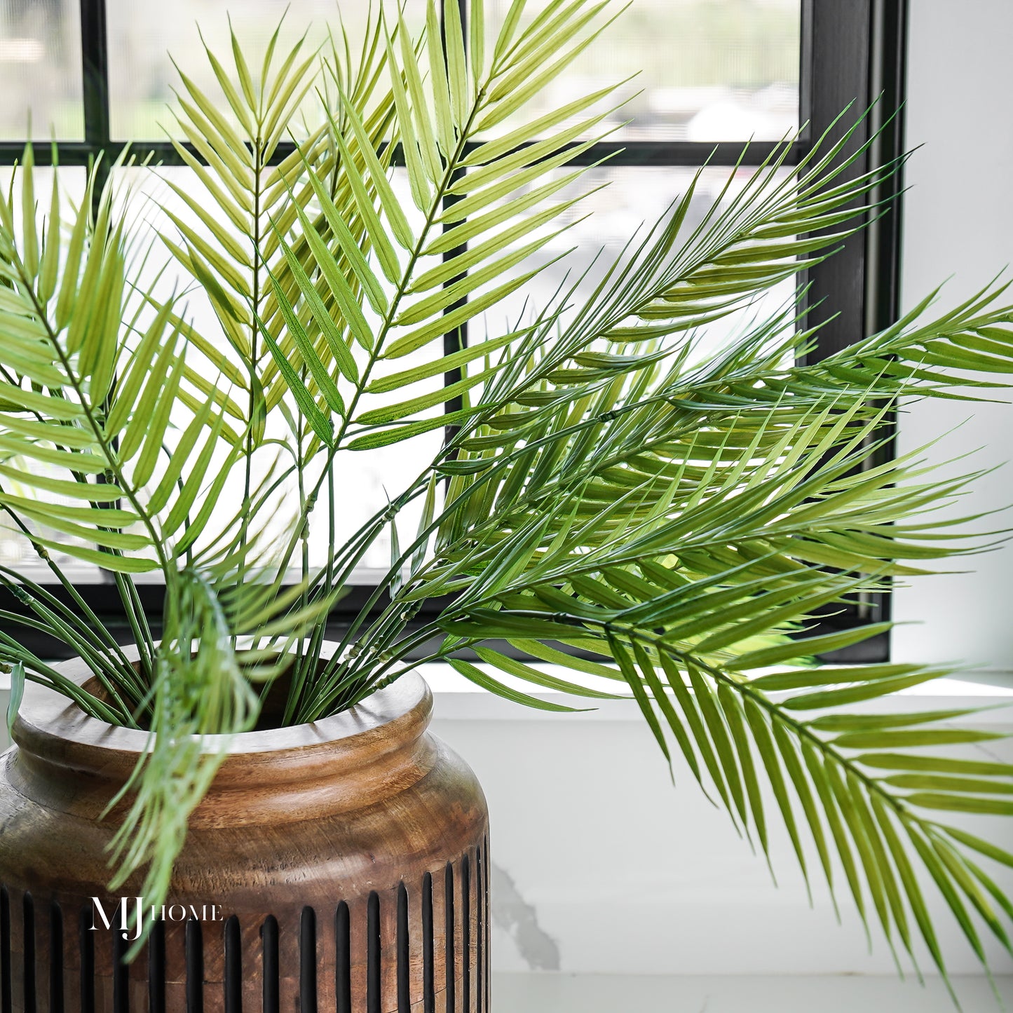 Fernando Palm Bush