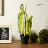 Real Touch Faux Potted Plant
