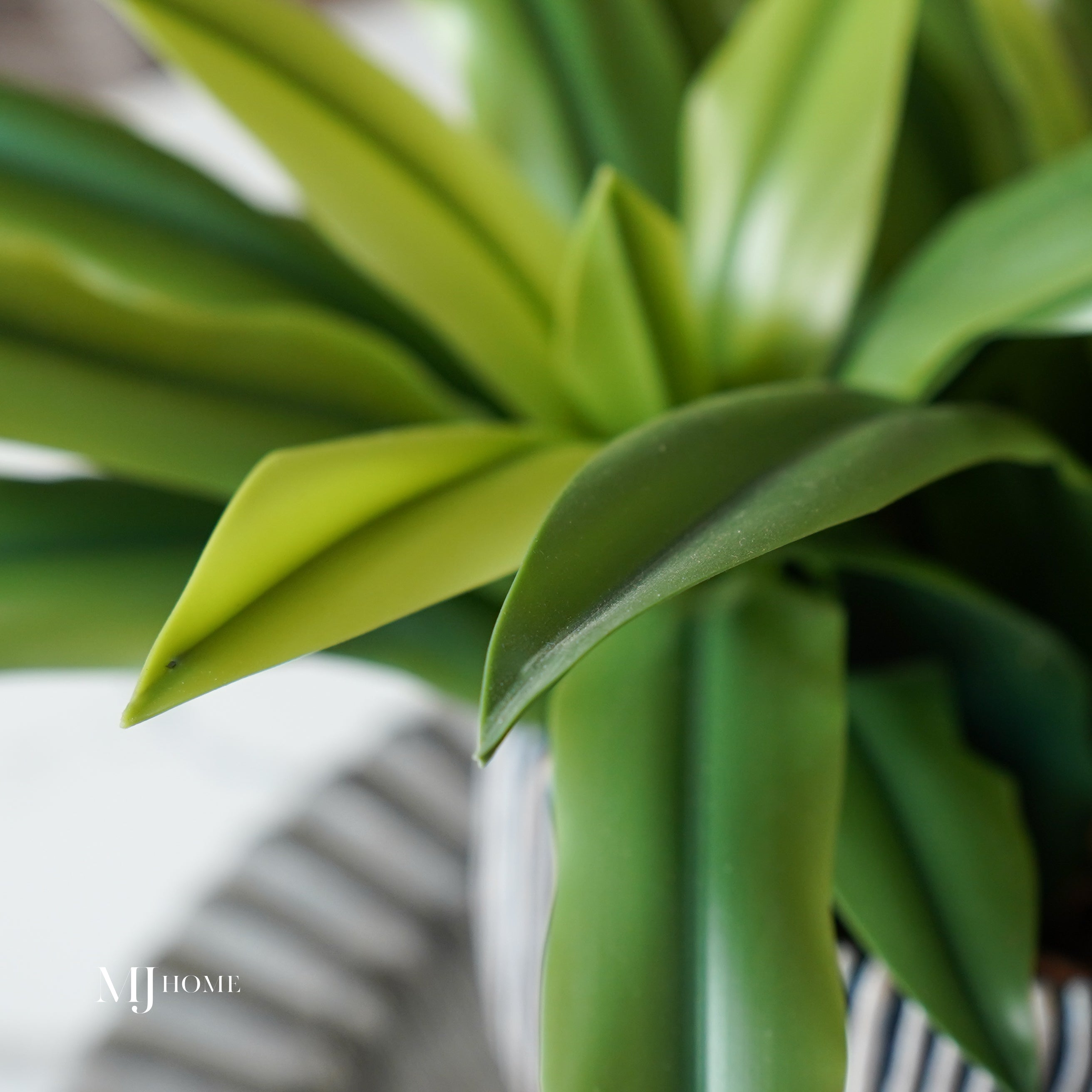 Romilly Real Touch Agave