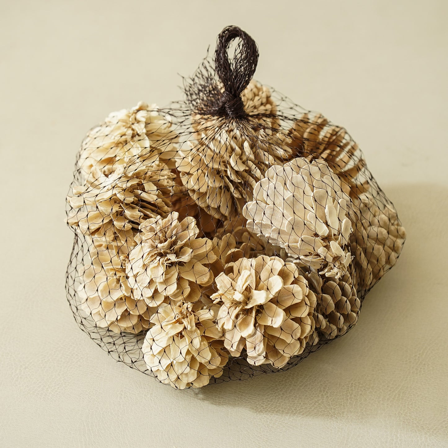 Bag of Dried Pinecones