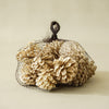 Bag of Dried Bleached Pinecones