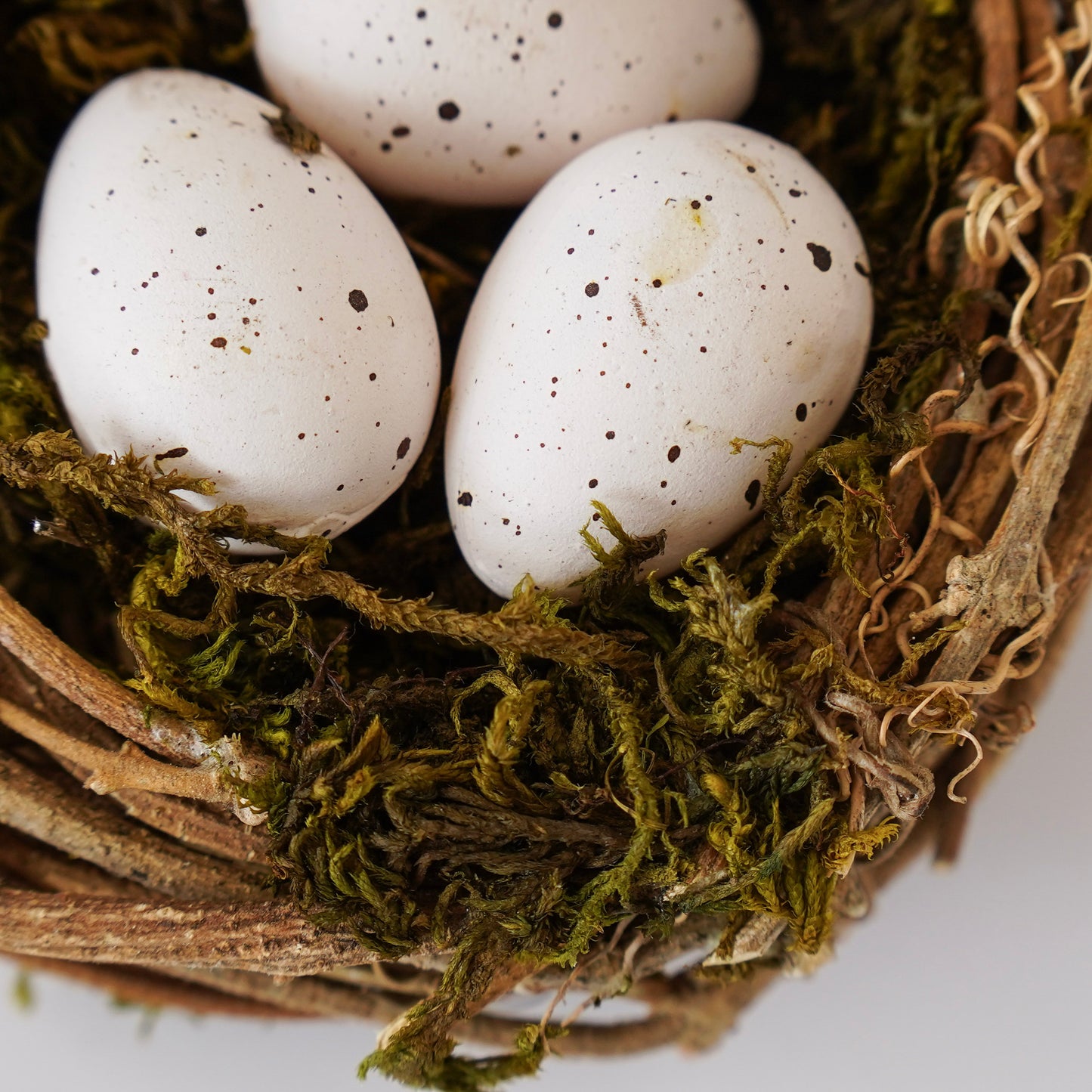 Mossy Twig Nest