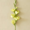 Real Touch Gladiolus Stem | Spring Green