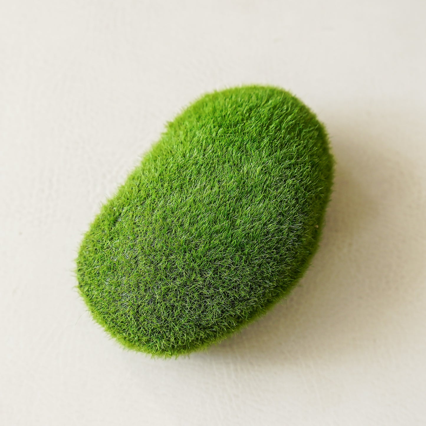 Moss Rocks | Box of 12