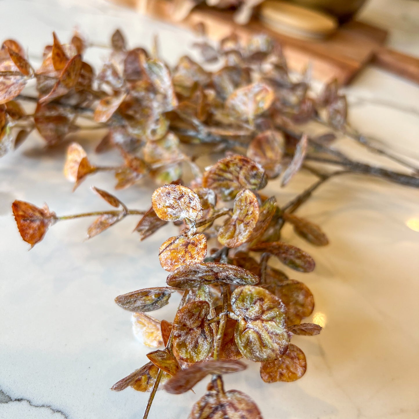 Brown Eucalyptus Stem | Whitewashed Faux Fall Floral Branch