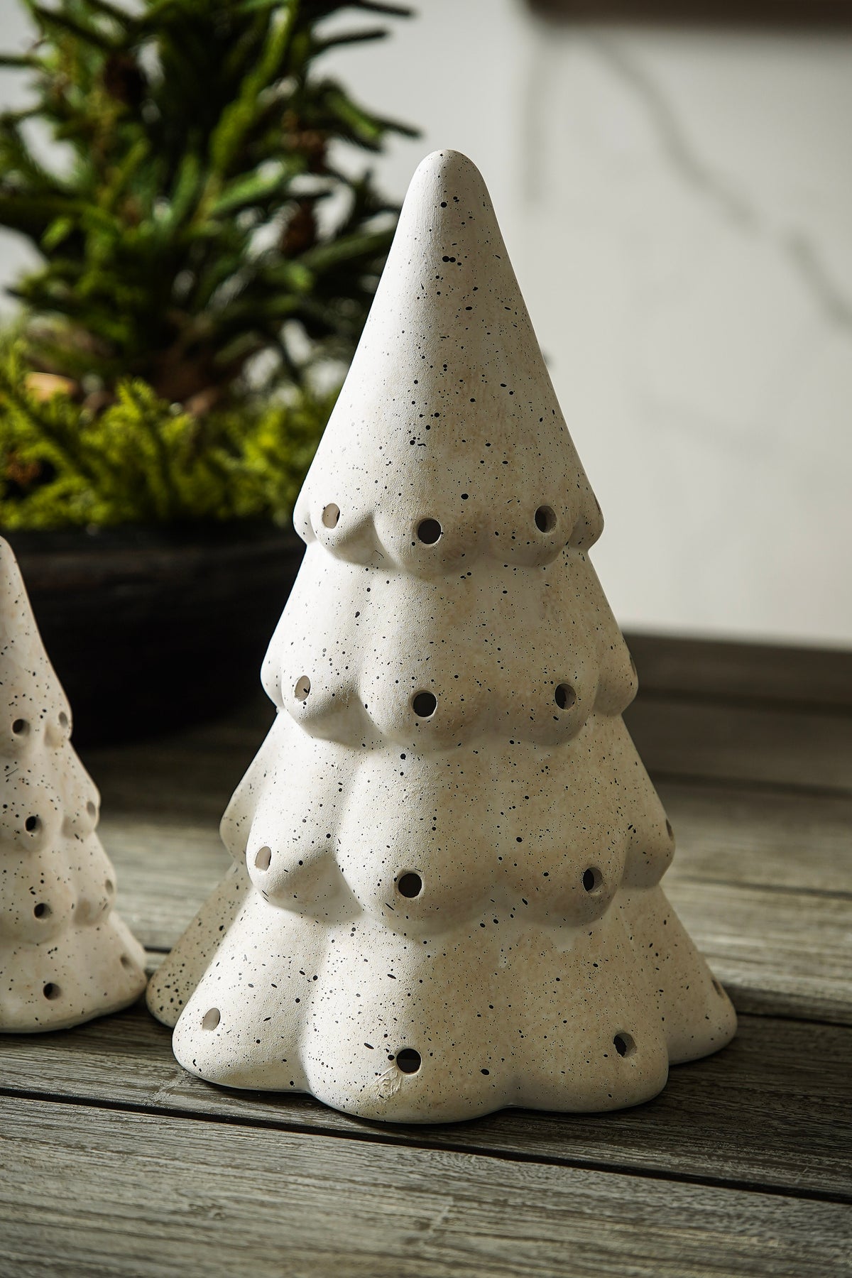 Everly Ceramic Luminary Trees