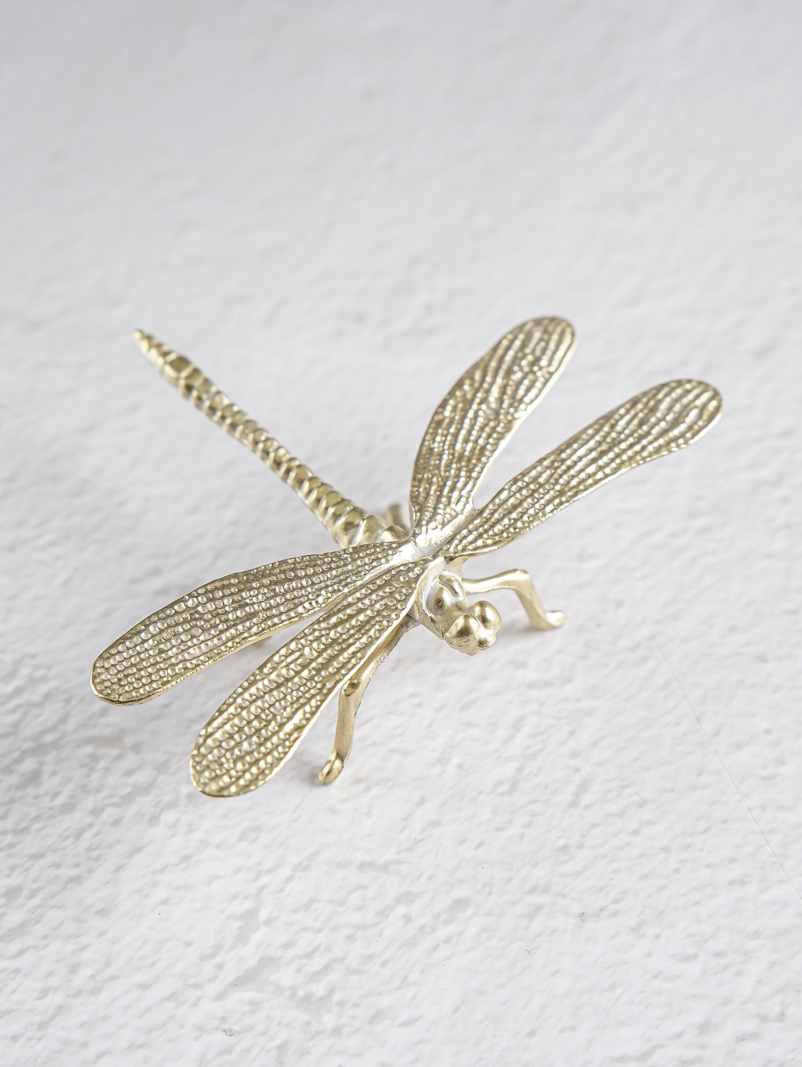 Champagne Dragonfly