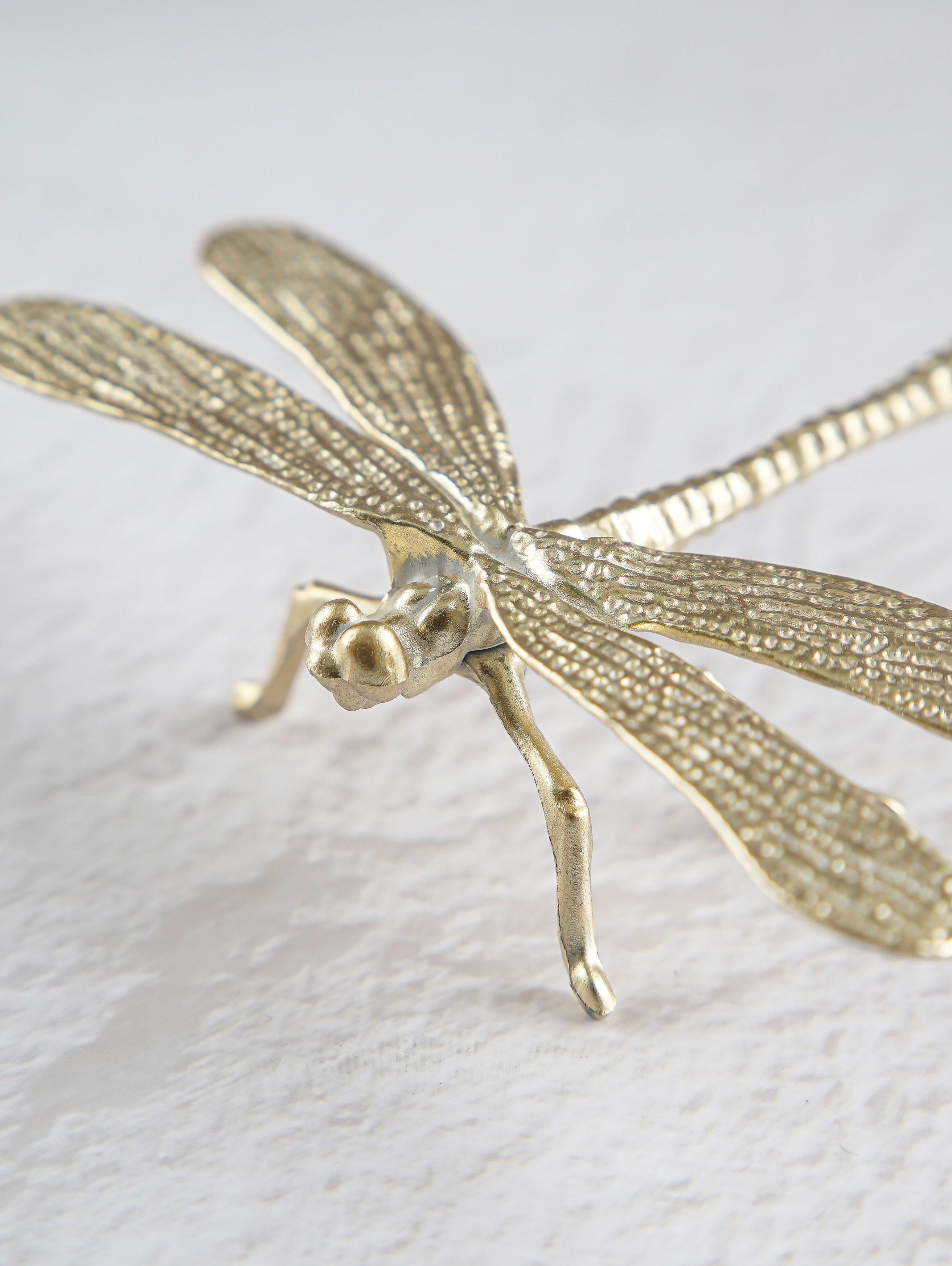 Champagne Dragonfly