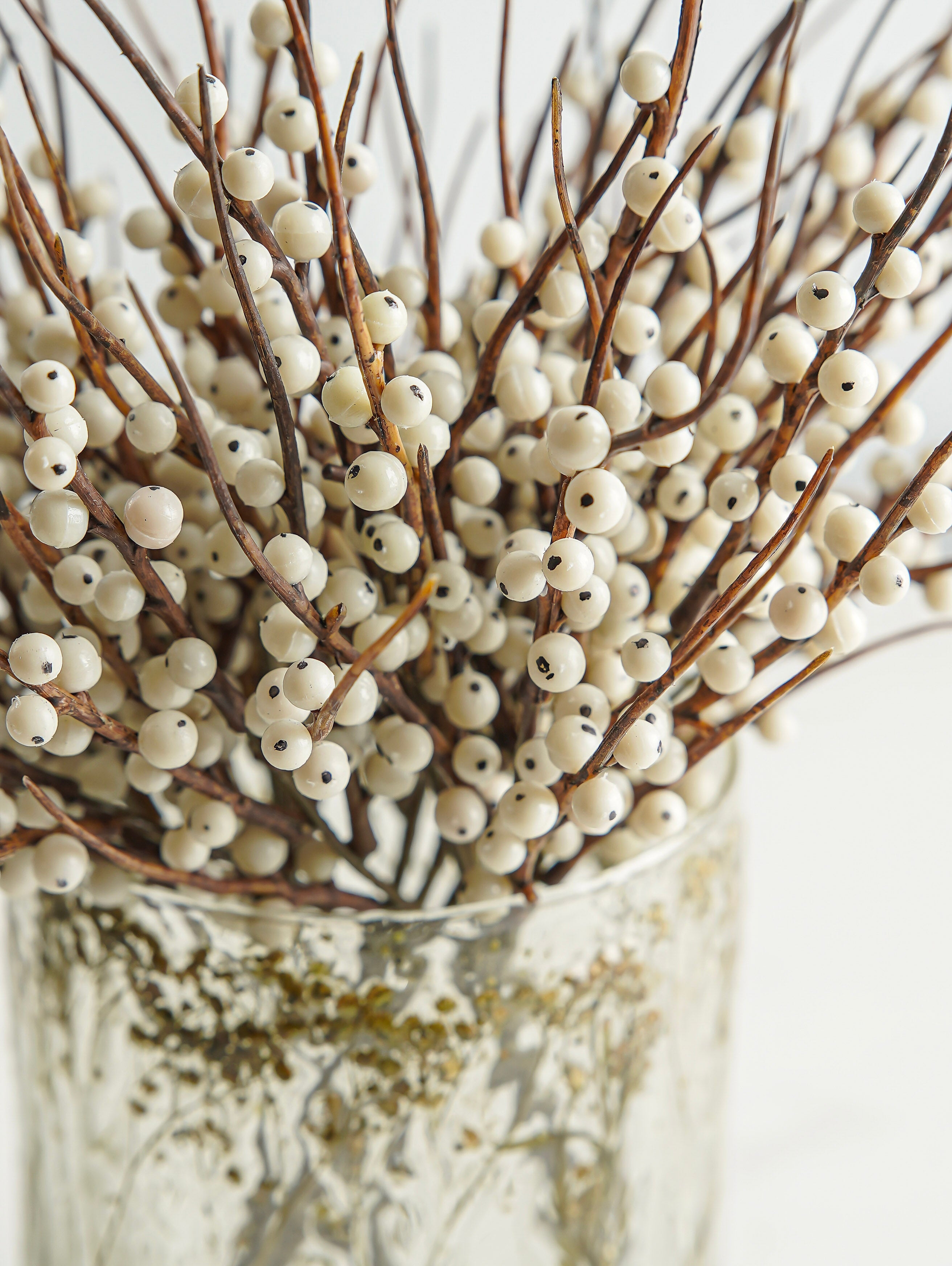 Cream Berry Bush