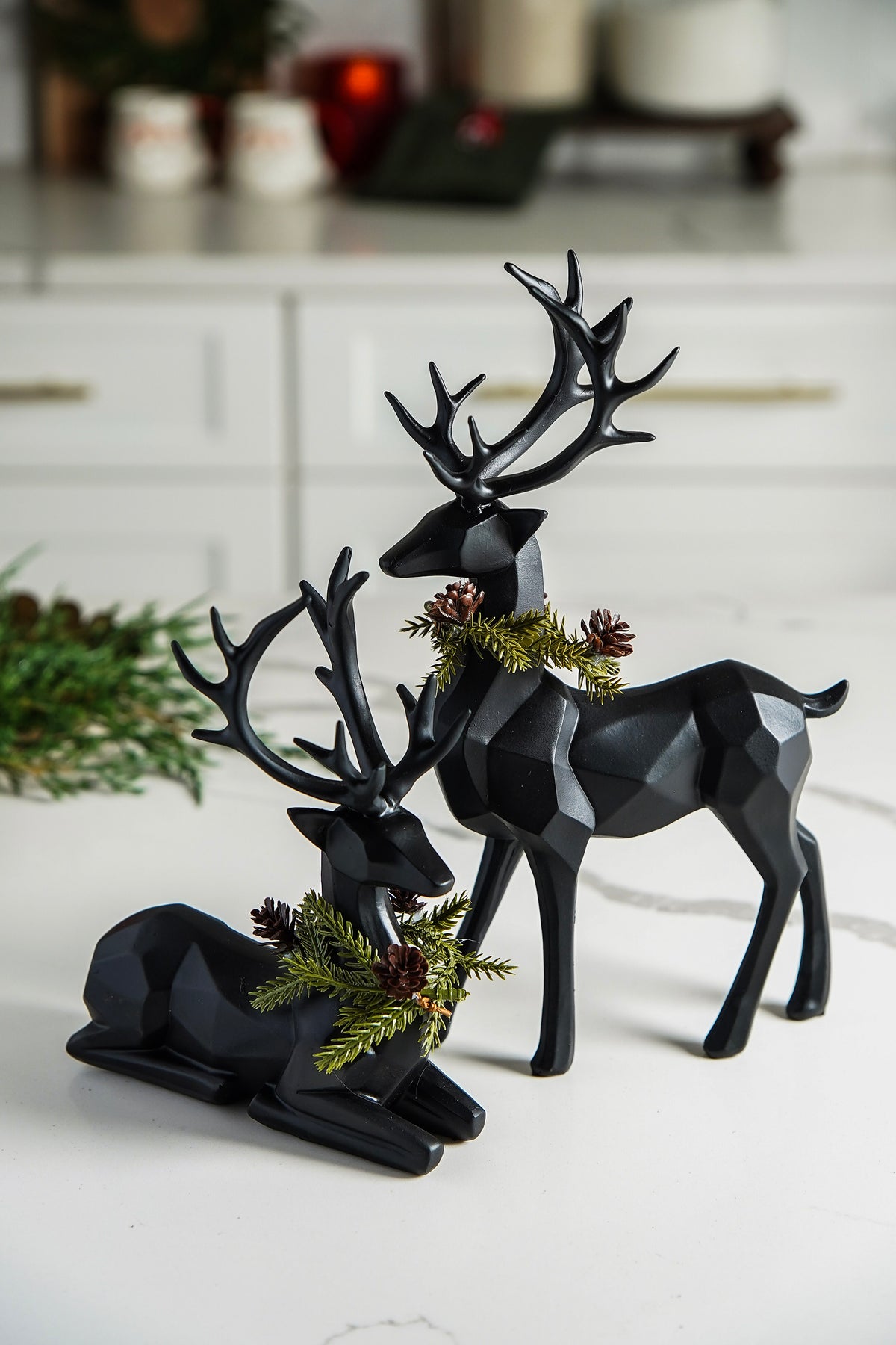 Midnight Woodland Styled Look