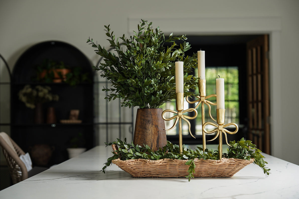 Evergreen Boxwood Bush