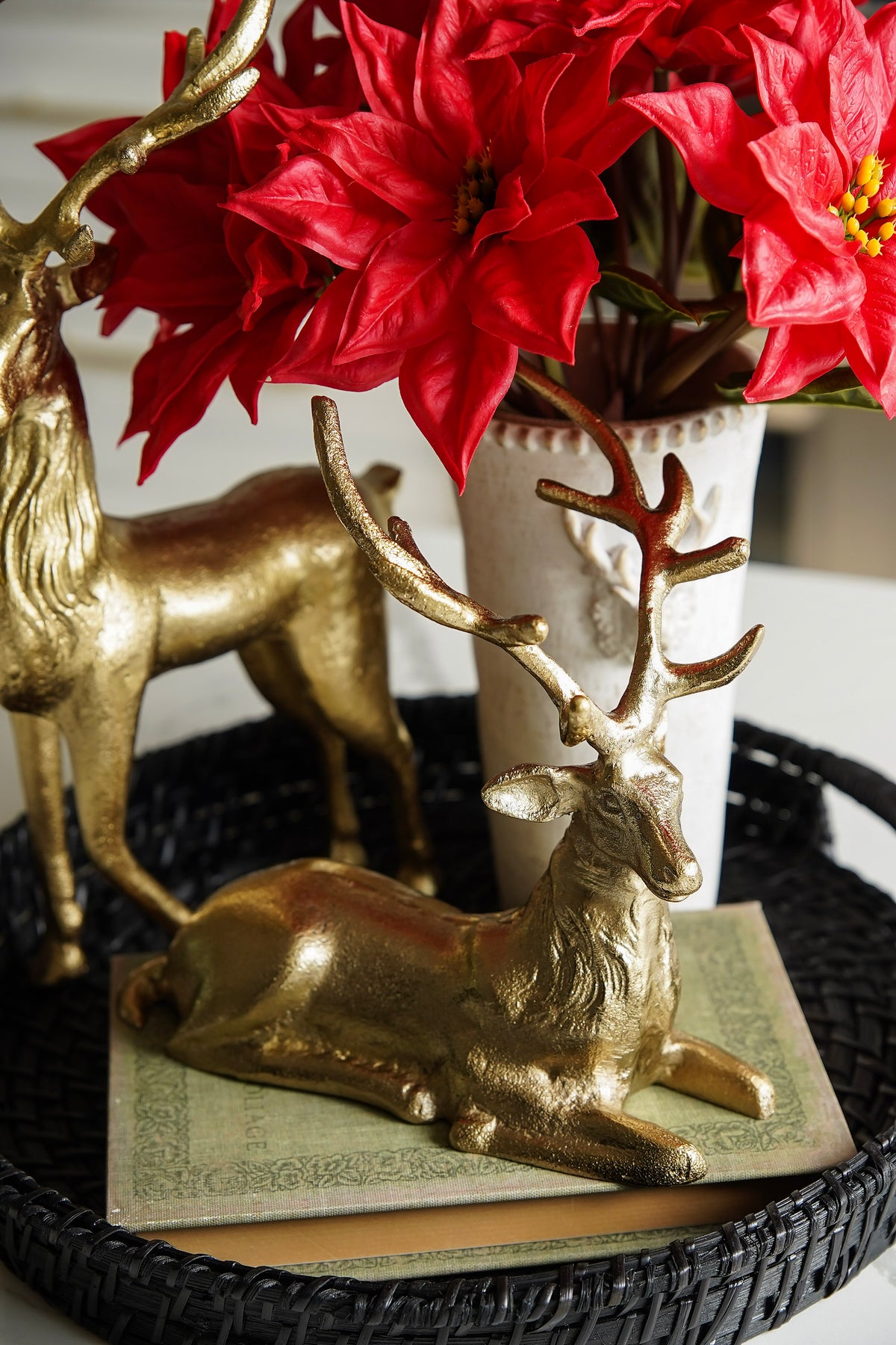 Poinsettia & Gold Styled Look