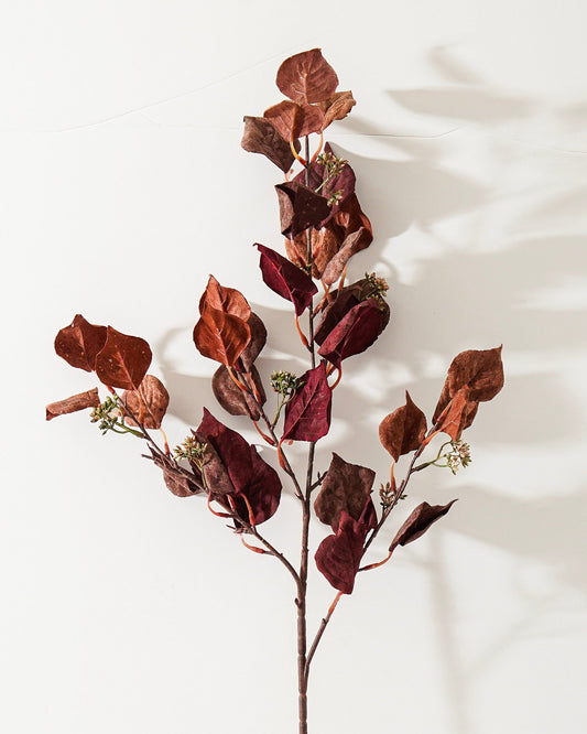 Burgundy Silver Dollar Eucalyptus Stem