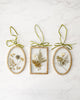 Pressed Botanical Glass Frame Set