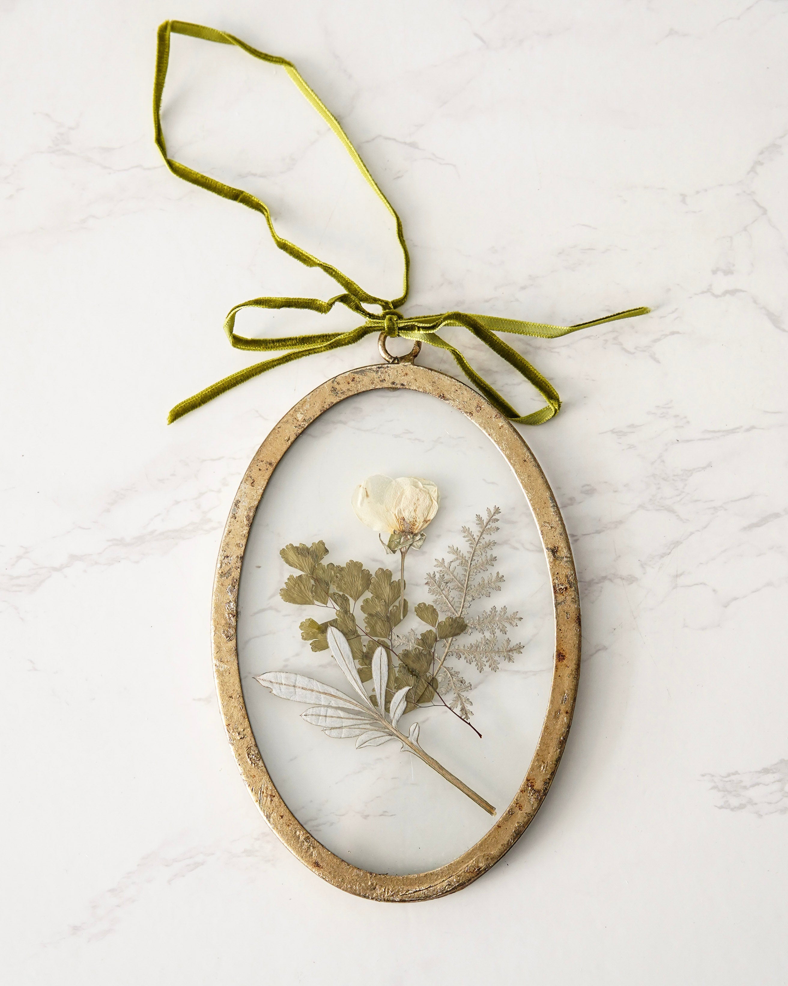 Round Pressed Botanical Glass Frame No 2