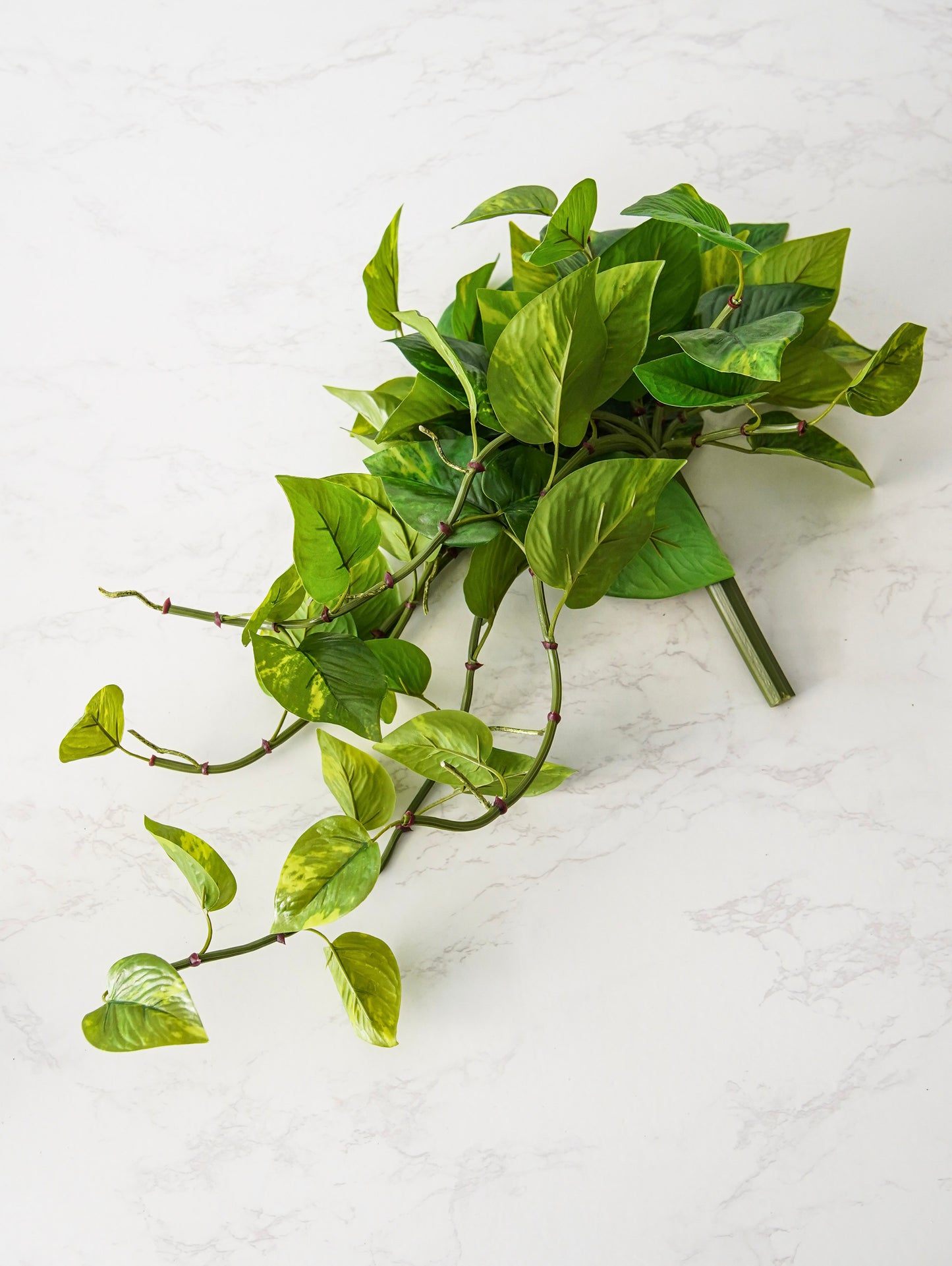 Natural Touch Pothos Pick | UV Safe