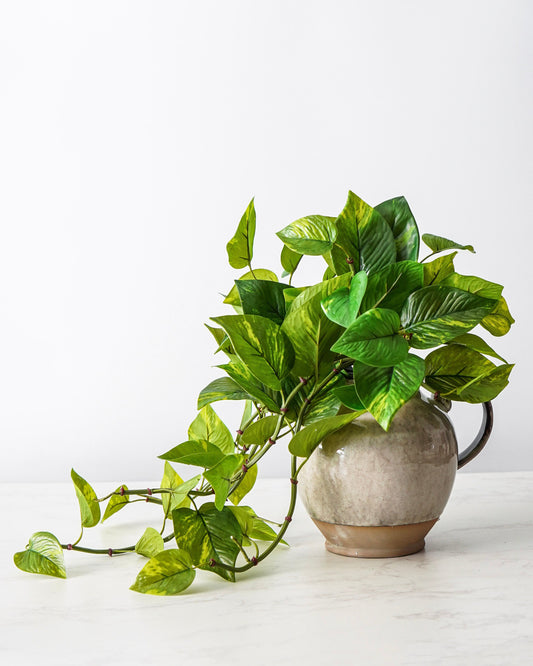 Natural Touch Pothos Pick | UV Safe