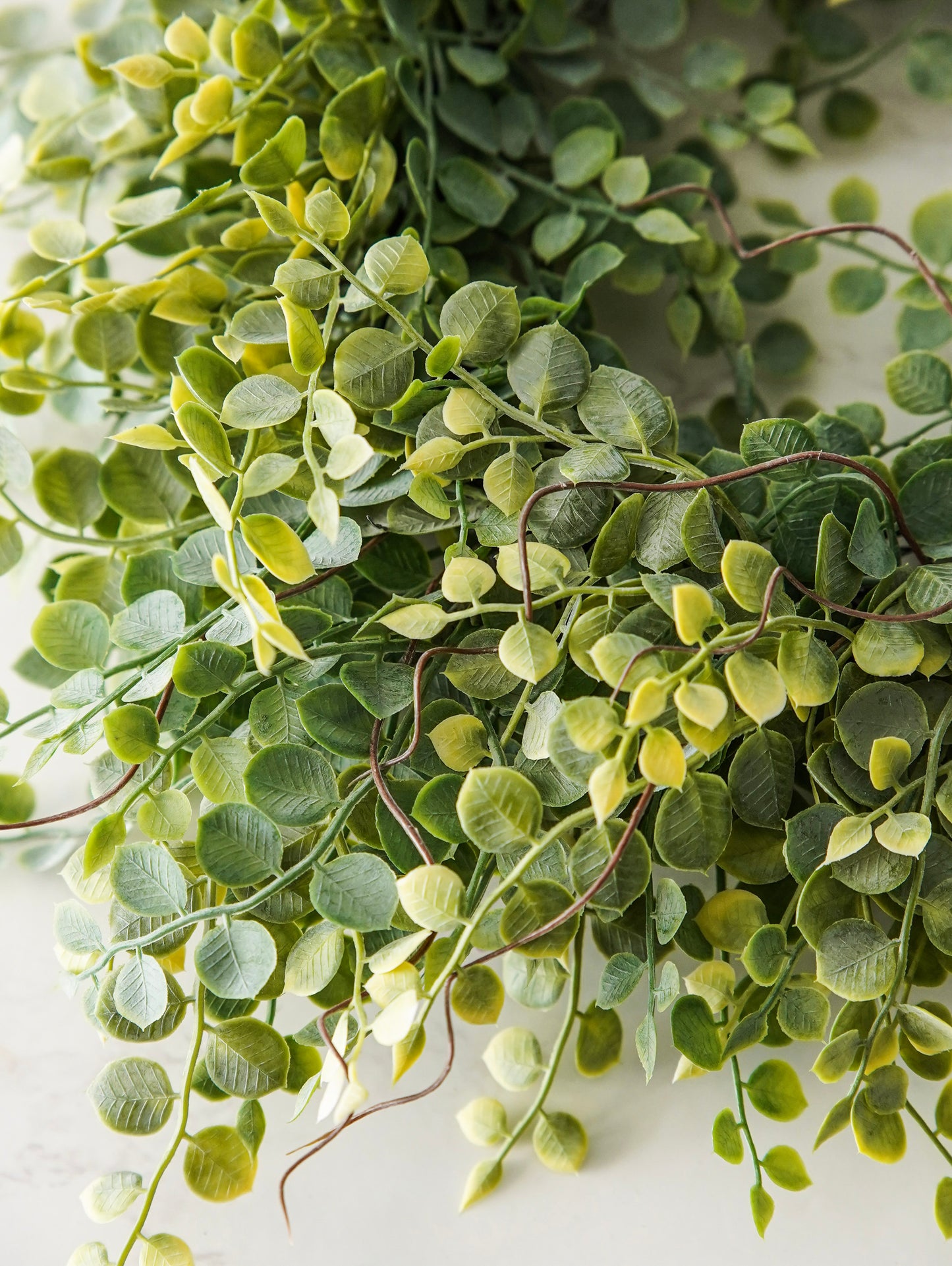 Meadow Eucalyptus Small Wreath