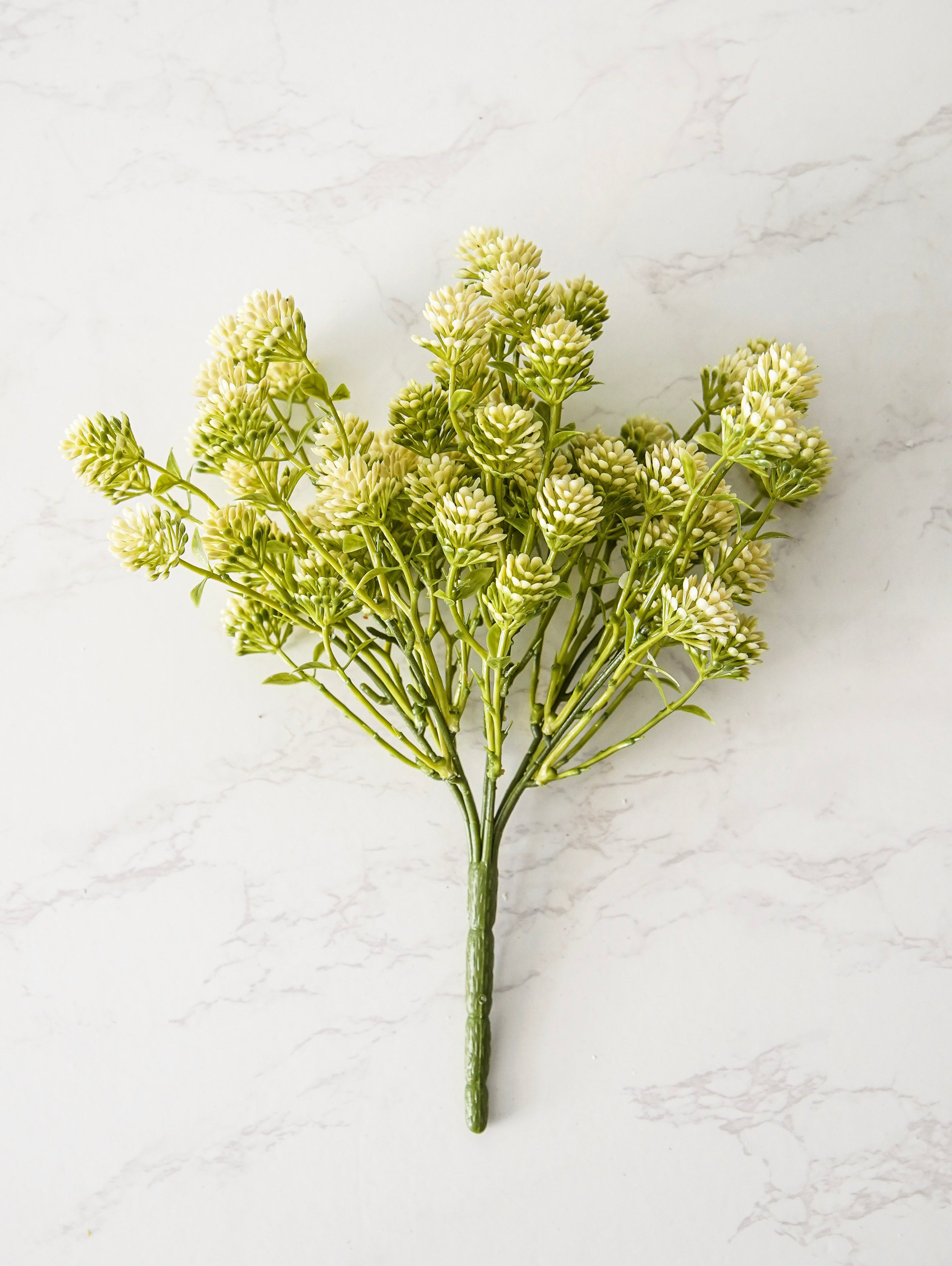 Willow Buds Bush | Spring Green