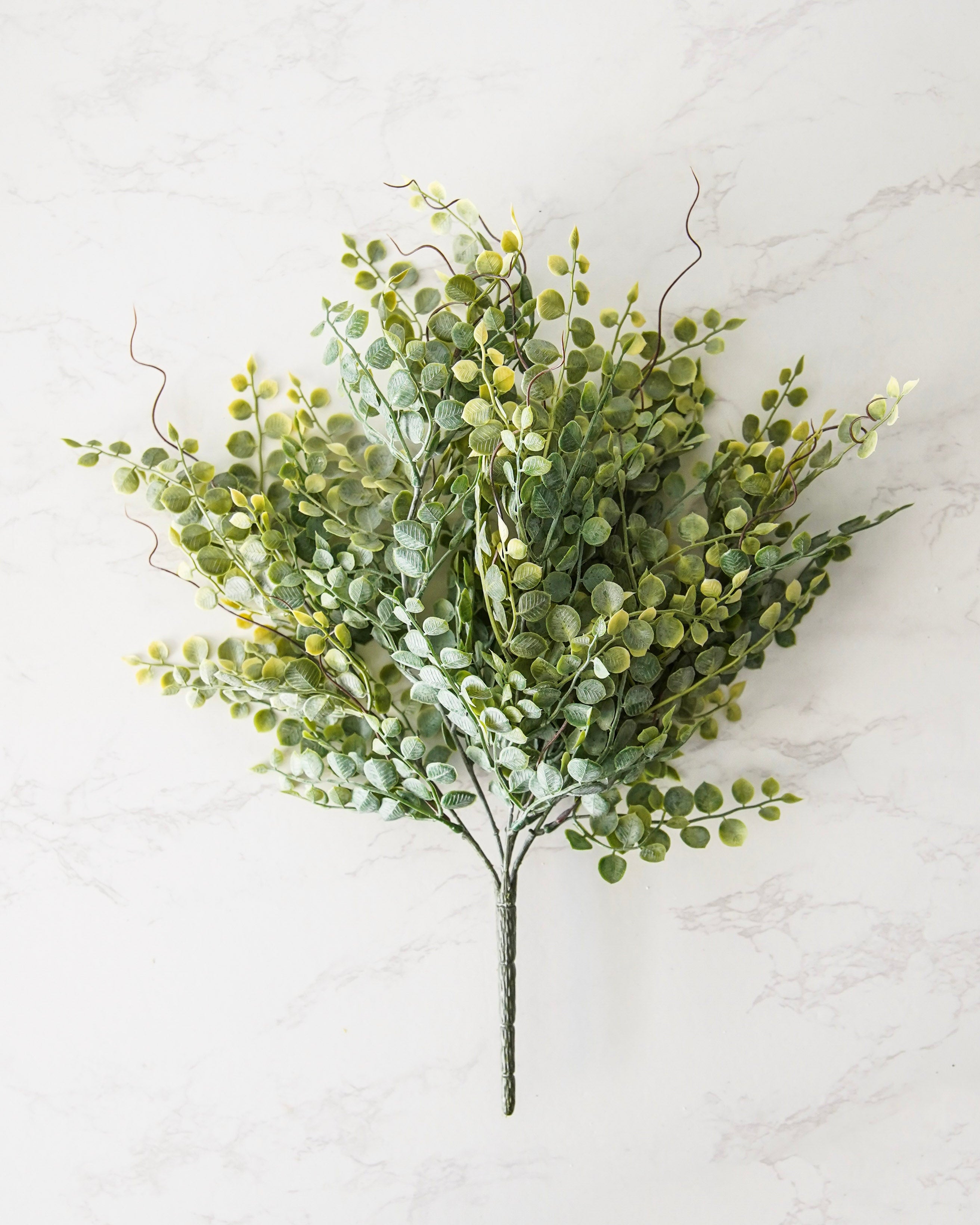 Meadow Eucalyptus Bush | Large