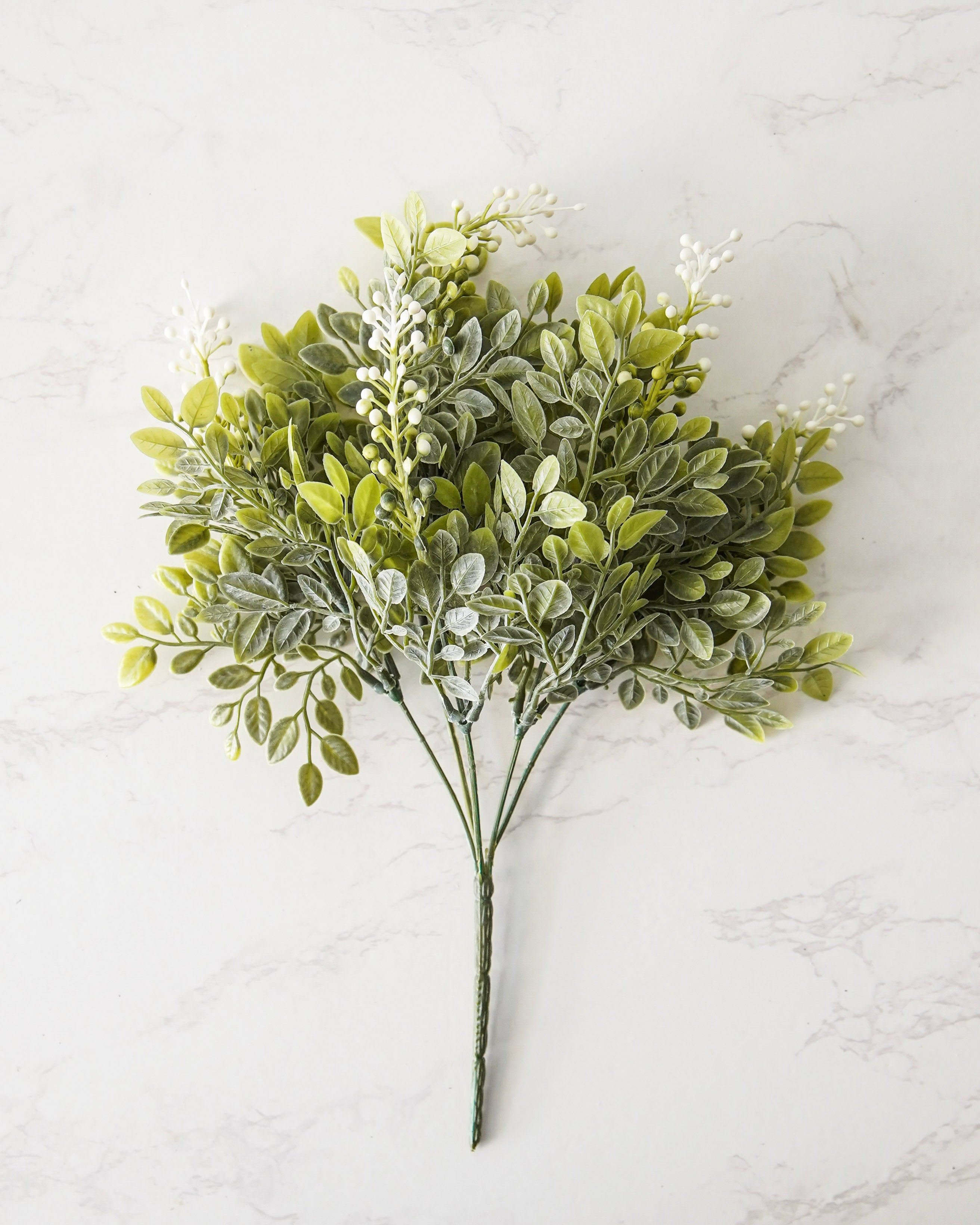 Whispering White Berry Bush