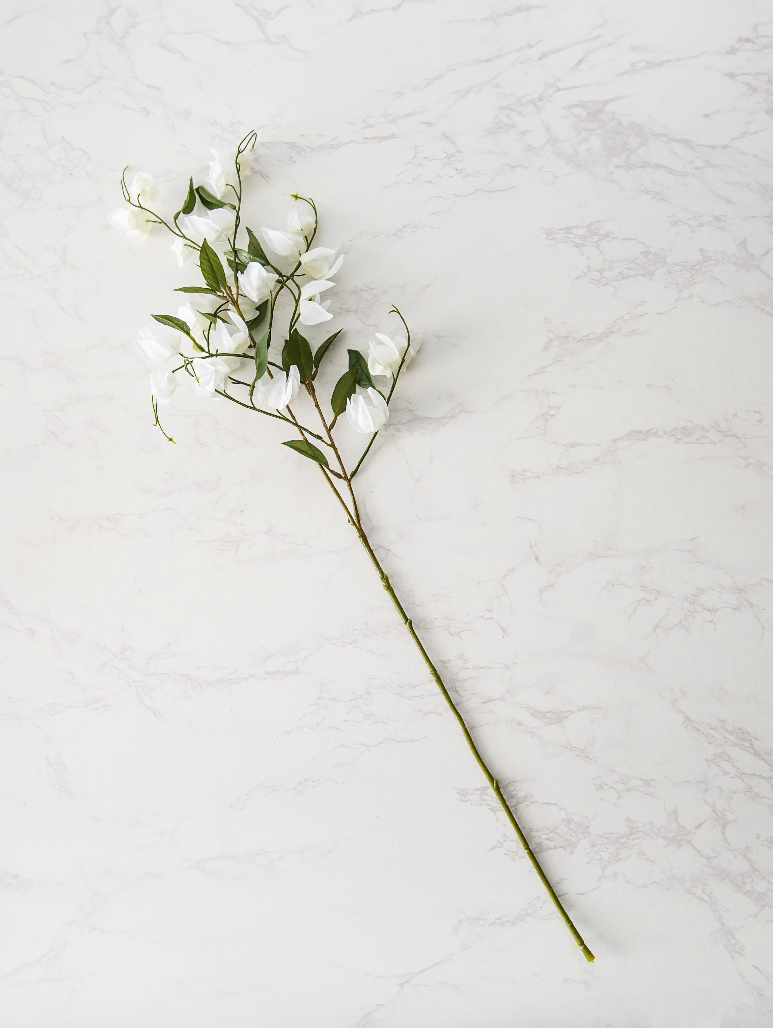 Lantern Bud Spray | White
