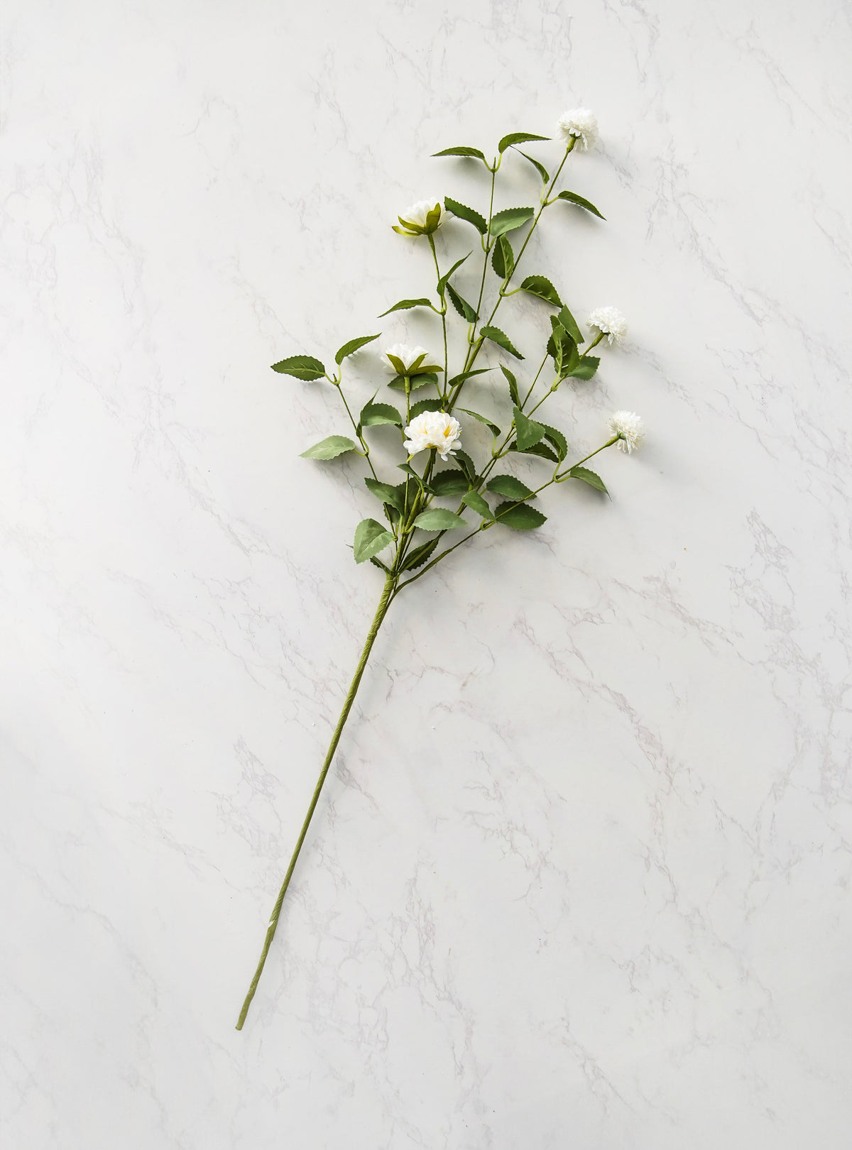 Quiet Meadow Pom Stem