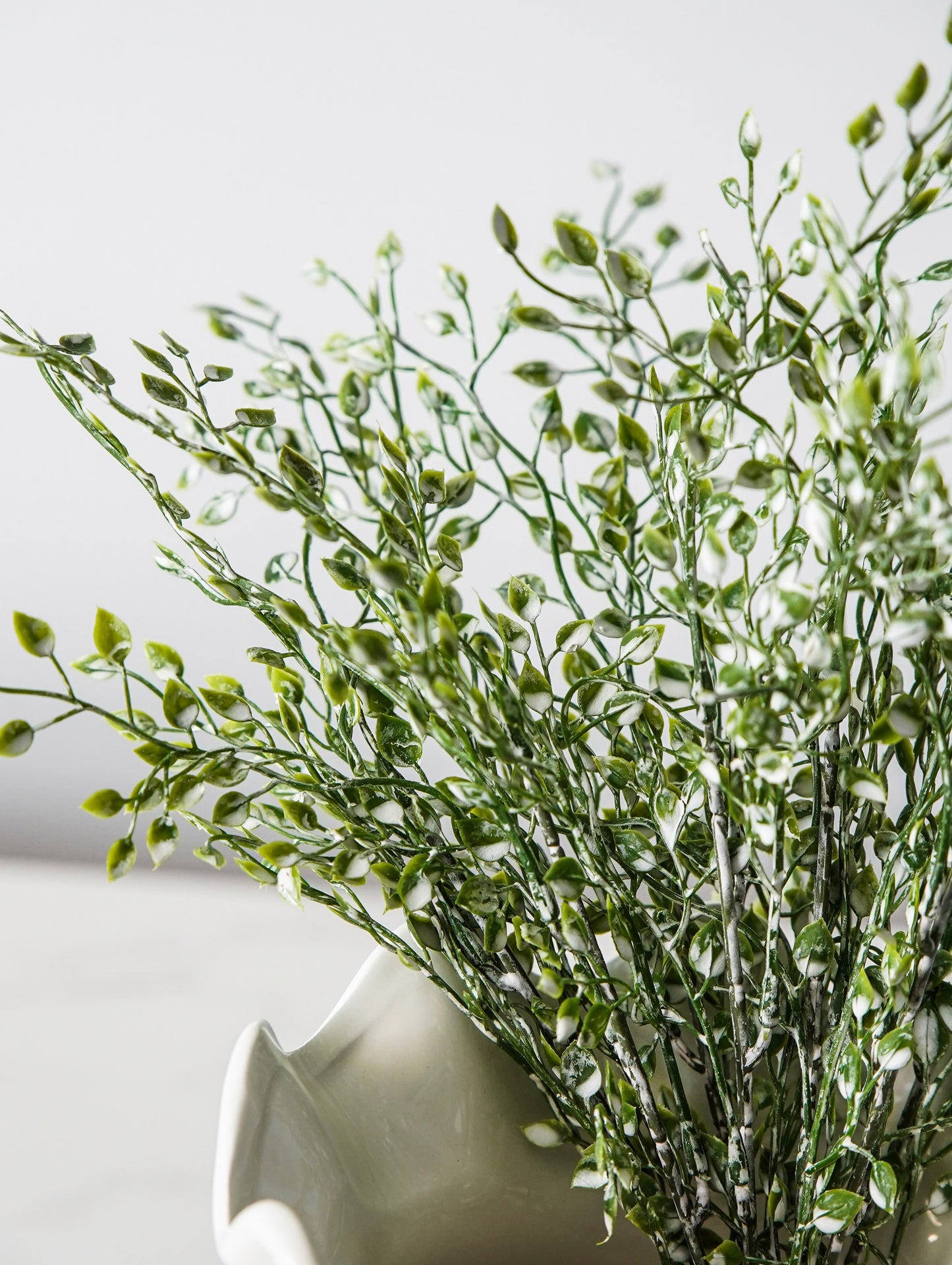 Little Nova Bush Bunch