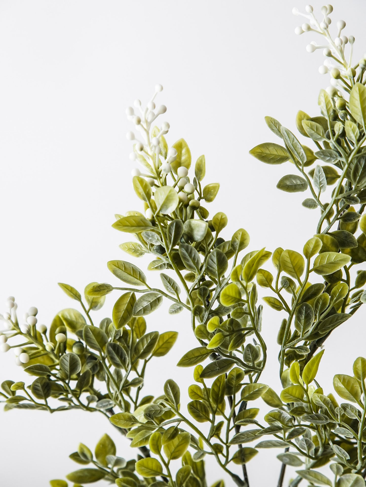 Whispering White Berry Stem