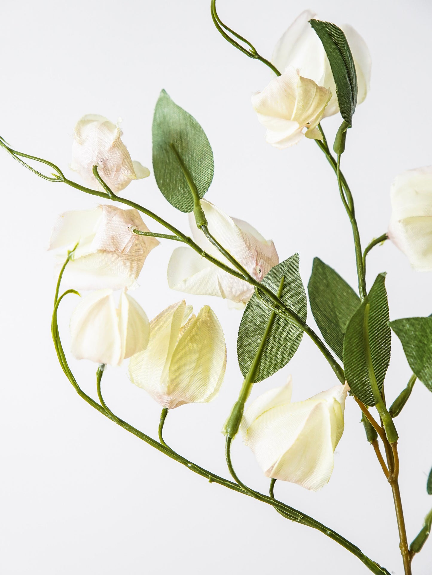 Lantern Bud Spray | Ombre