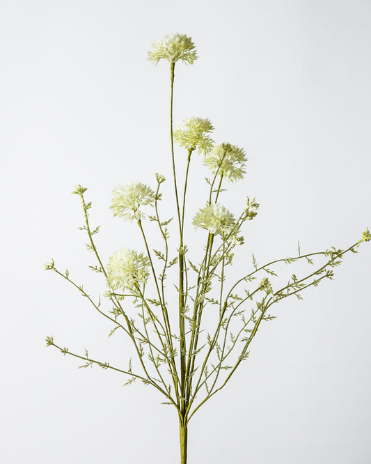 Green Dandelion Spray