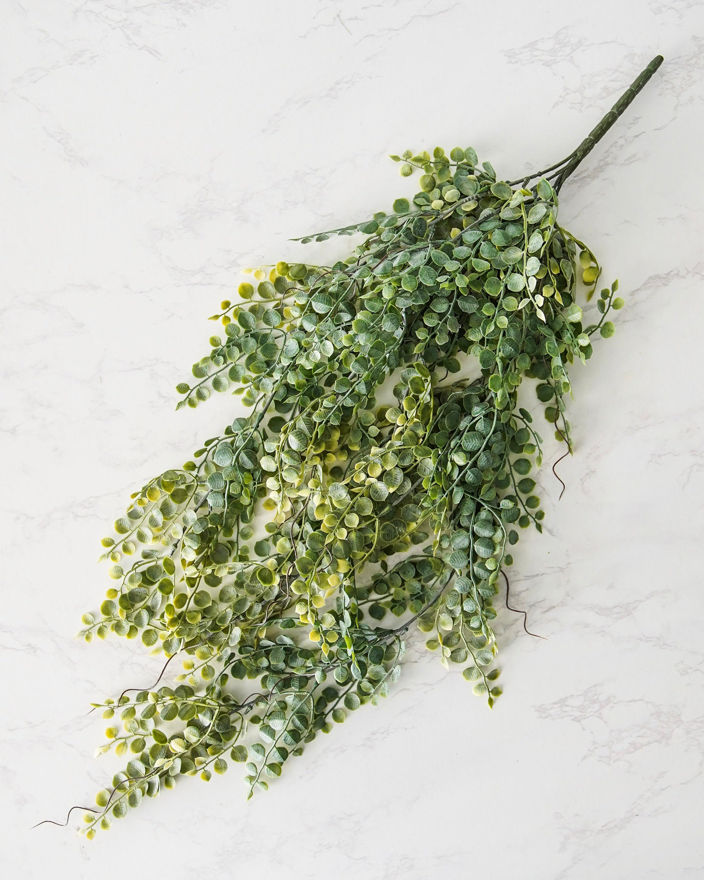 Meadow Eucalyptus Hanging Stem