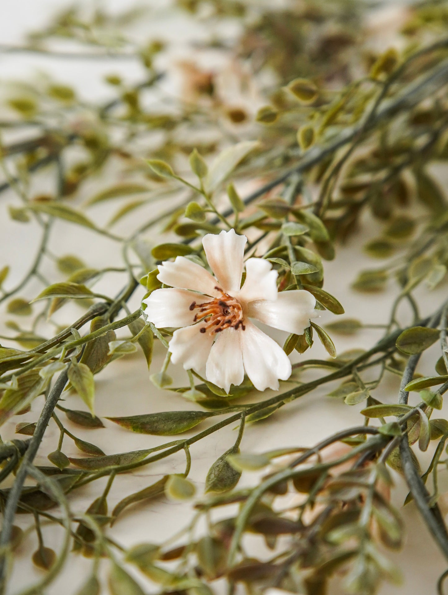 Stella Cosmo Hanging Stem